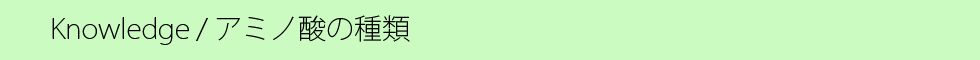 アミノ酸の種類.png