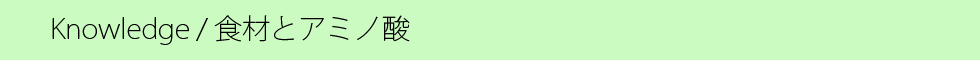 食材とアミノ酸.png