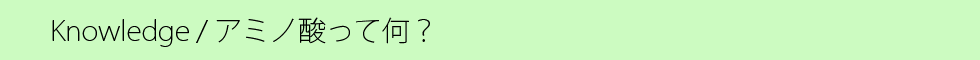 アミノ酸って何.PNG
